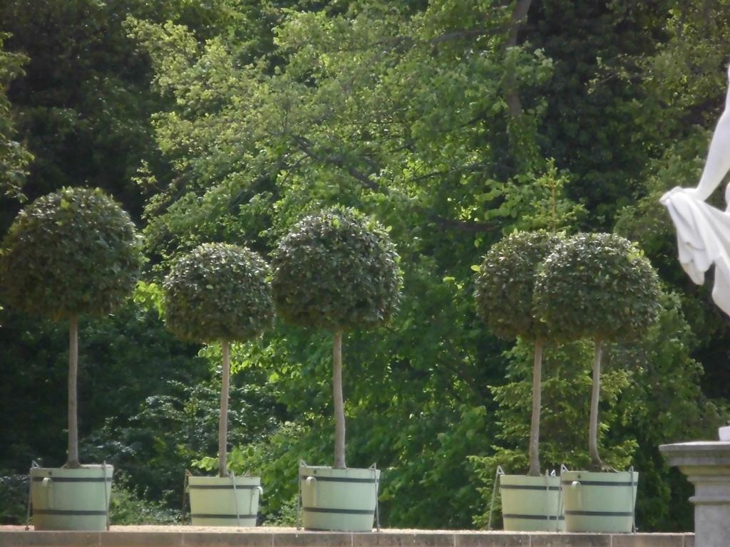Schlossparkferienwohnungen Rheinsberg Mit Garten Dış mekan fotoğraf